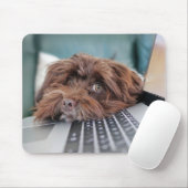 Hond, huisdier, insluiting muismat (Met muis)