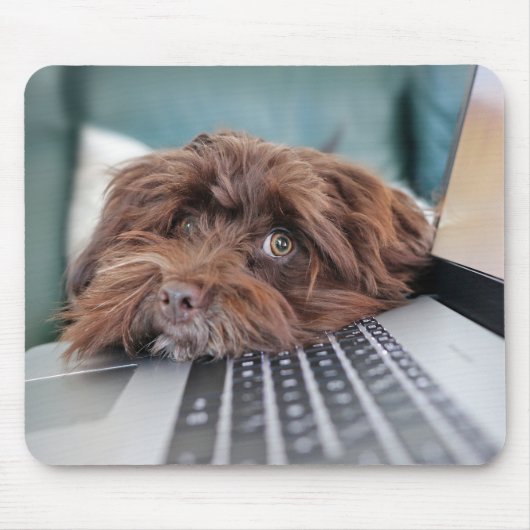 Hond, huisdier, insluiting muismat (Voorkant)