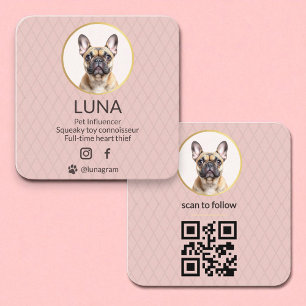 Hond Huisdier Social Media QR Code Blush Roze Foto Vierkante Visitekaartje