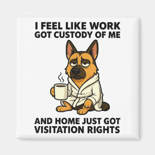 Hond Ik Voel Me Als Of Werk Me In Bewaring Heeft E Magneet