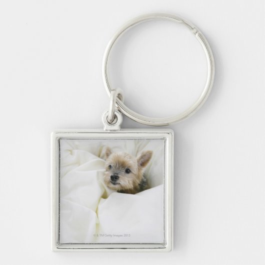 Hond in bed sleutelhanger (Voorkant)