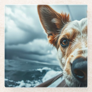 Hond in bed van camper glazen onderzetter