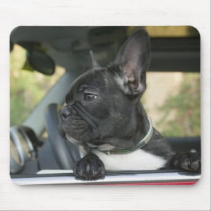 Hond in de auto muismat
