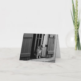 Hond in de deuropening Note Kaart