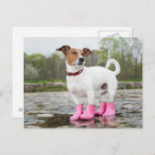 Hond in de regen briefkaart (Voorkant / Achterkant)