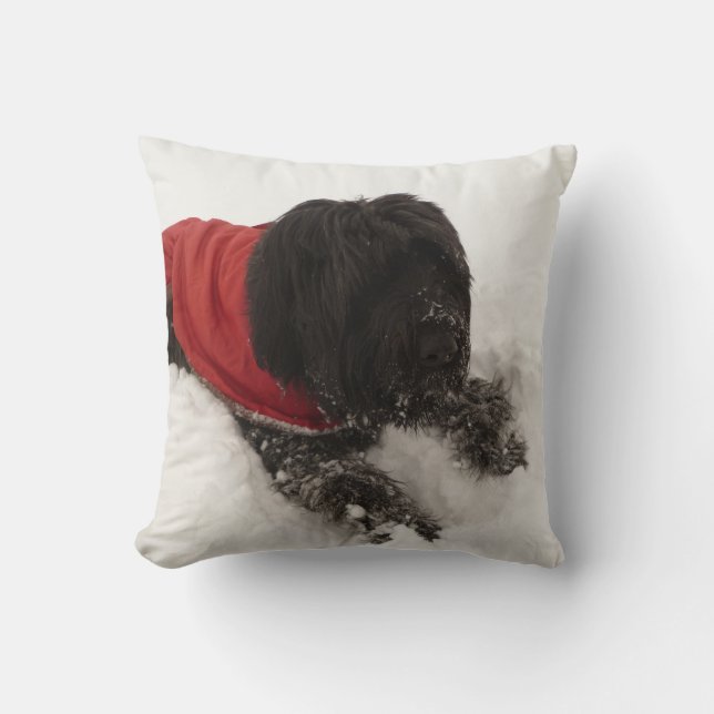 Hond in de sneeuw kussen (Voorkant)