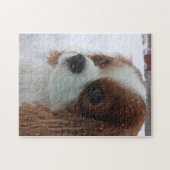 Hond in de sneeuw legpuzzel (Horizontaal)