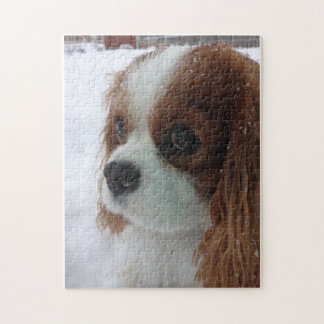 Hond in de sneeuw legpuzzel