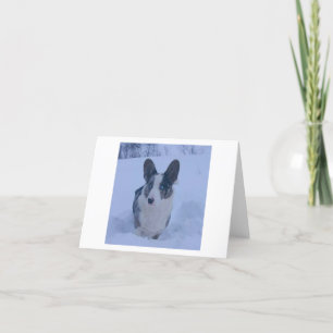 Hond in de sneeuwgevouwen kerstkaart feestdagen kaart