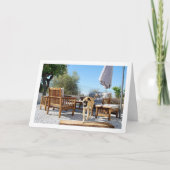 Hond in de tuin kaart (Voorkant)