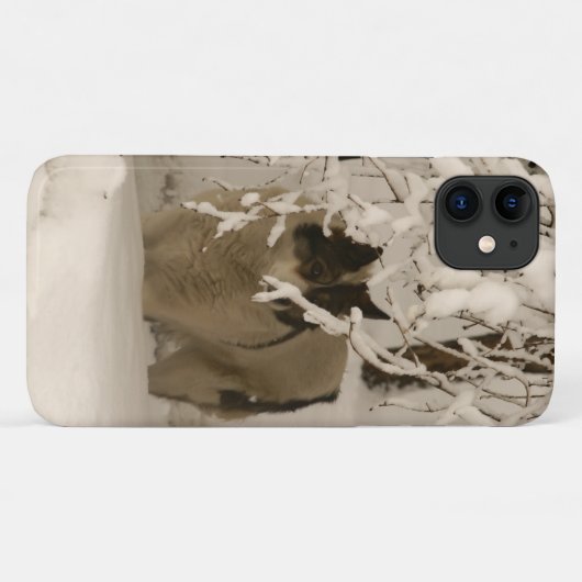 Hond in de winter Case-Mate iPhone case (Achterkant (horizontaal))