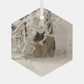 Hond in de winter glas ornament (Voorkant)