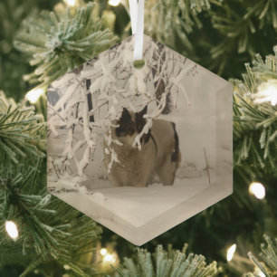 Hond in de winter glas ornament