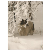 Hond in de winter klembord (Achterkant)