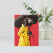 Hond in een gele regenjas briefkaart (Staand voorkant)