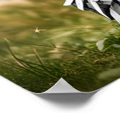 Hond in Halloween kostuum Poster (Hoek)