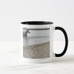 Hond in het meer van water schudden mok