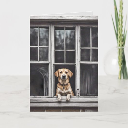 Hond in het raam voor Miss You Kaart (Voorkant)