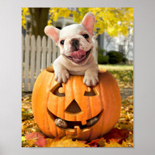 Hond in Jack-o-Lantern Poster