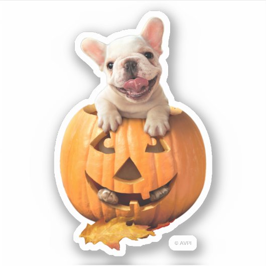 Hond in Jack-o-Lantern Sticker (Voorkant)