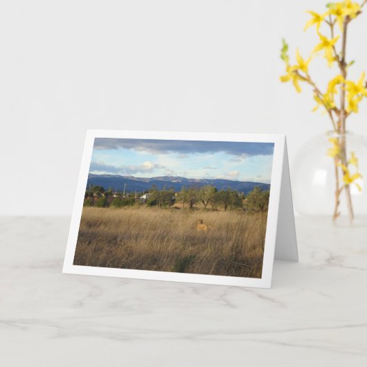 Hond in landschap kaart (Gele Bloem)