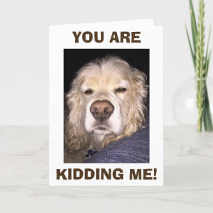 HOND IN ONGELOOF JE BENT WEER JARIG! KAART