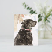 Hond in sneeuw briefkaart (Staand voorkant)