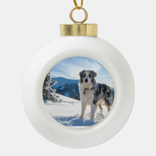 Hond in Sneeuw Ornament