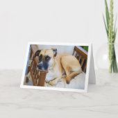 Hond in stoel Portret Kaart (Voorkant)