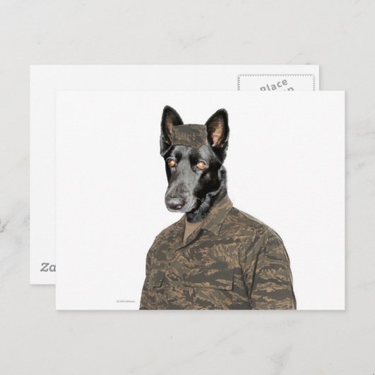 Hond in uniform briefkaart (Voorkant / Achterkant)