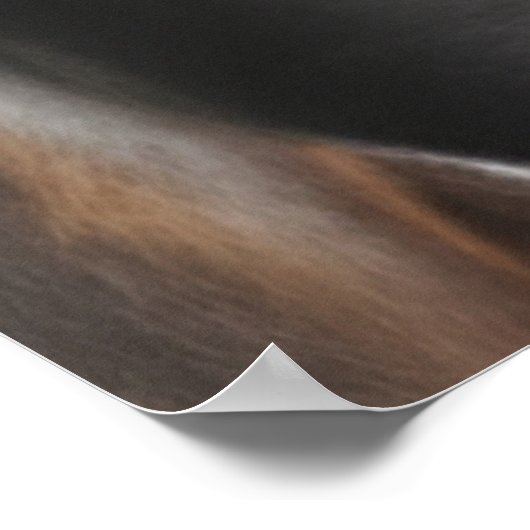 Hond in zonnebril poster (Hoek)