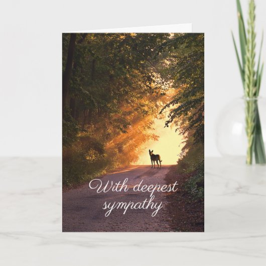 Hond in zonsondergang sympathiekaart (Voorkant)
