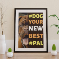 #Hond, je nieuwe beste #vriend ...Mastiff