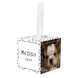 Hond Kat 3 Foto CollageModern Zwart Wit Patroon Kubus Ornament