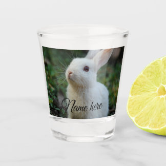 Hond kat huisdier naam foto sjabloon eenvoudig kon shot glas