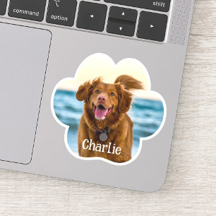 Hond Kat Poot Foto Op Maat Geknipte Vinyl Sticker