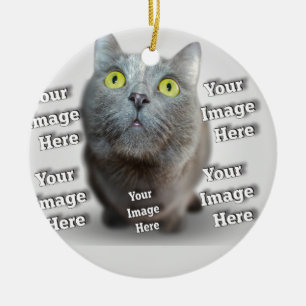 Hond Kat Vogel Fabuleus Geweldige Foto Keramisch Ornament