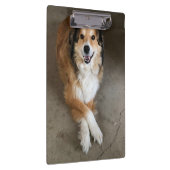 Hond Klembord (Rechts)