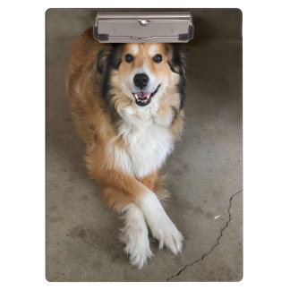 Hond Klembord