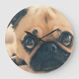 Hond klok
