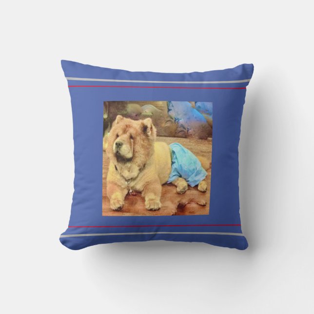 Hond Kussen (Voorkant)