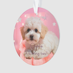 Hond Laten we feest verjaardag Ornament