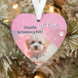 Hond Laten we feest verjaardag Ornament