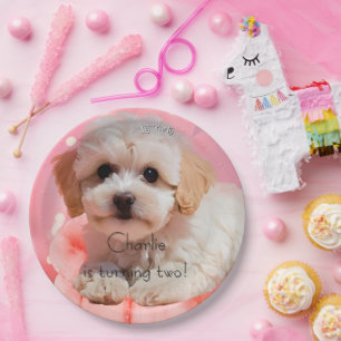 Hond Laten we feest verjaardag Papieren Bordje
