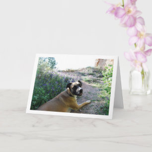 Hond leggen in Wildflower Portret Kaart