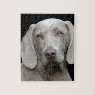 hond legpuzzel