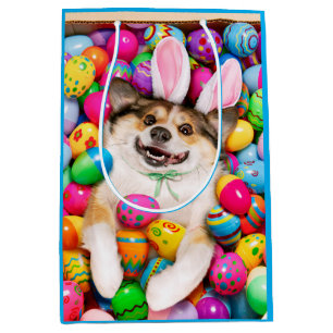 Hond Liggend op Paaseieren Medium Cadeauzakje