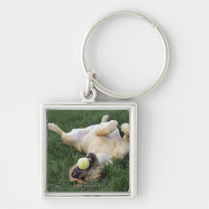 Hond ligt ondersteboven in gras met tennisbal sleutelhanger