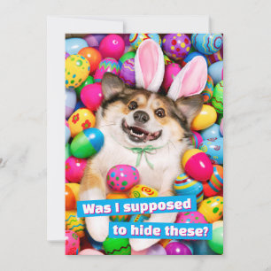 Hond ligt op paaseieren kaart