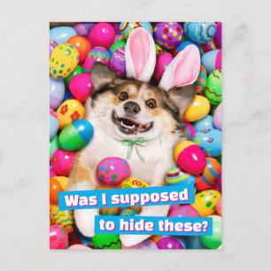 Hond ligt op Pasen eieren Briefkaart